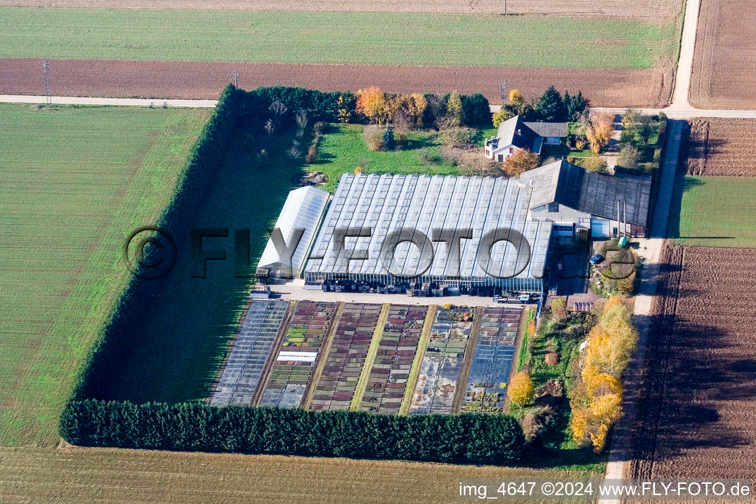 Sudètes à Steinweiler dans le département Rhénanie-Palatinat, Allemagne d'en haut