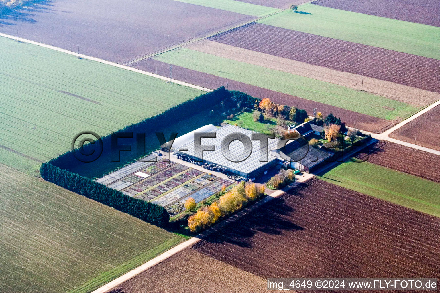 Vue d'oiseau de Sudètes à Steinweiler dans le département Rhénanie-Palatinat, Allemagne