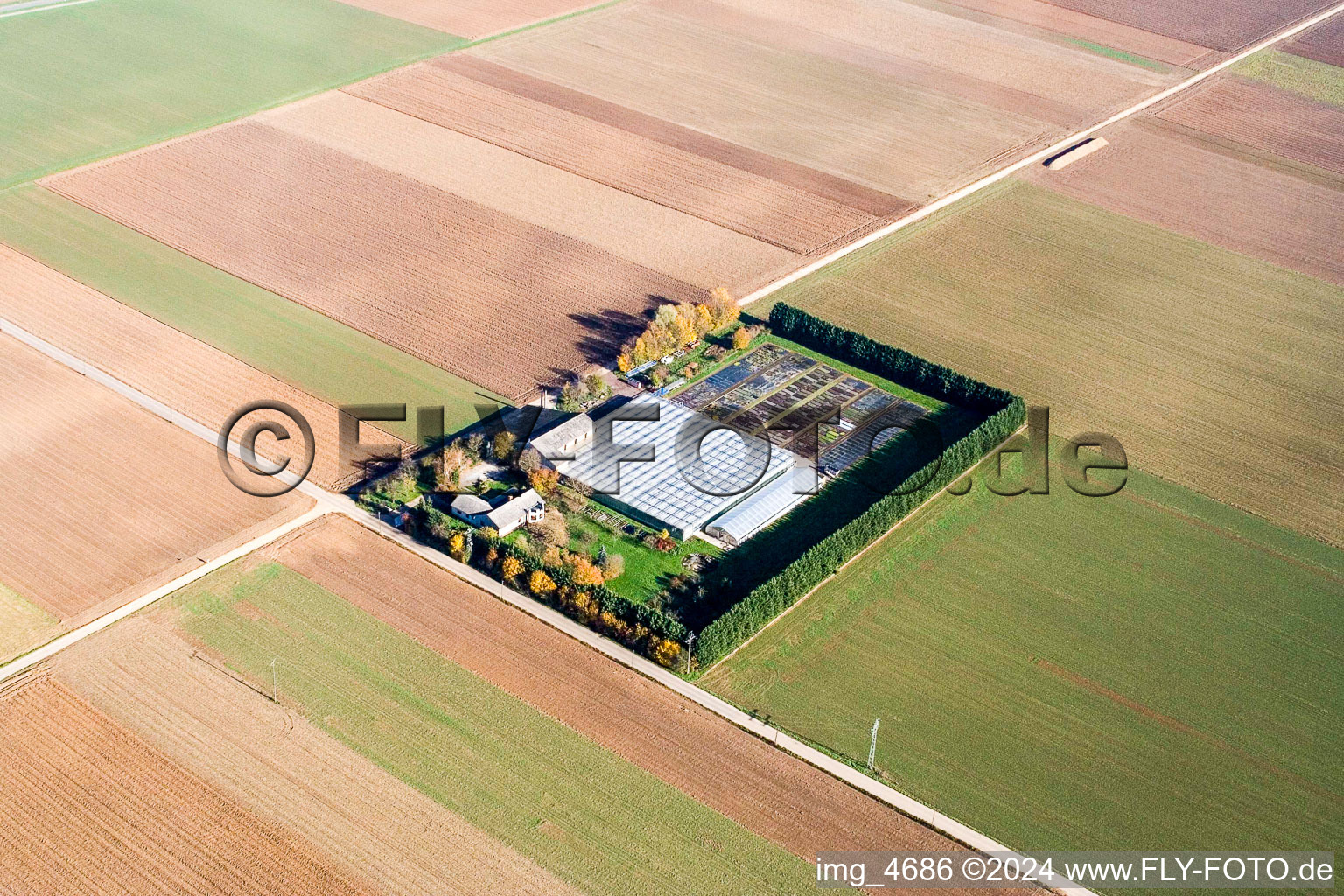 Image drone de Sudètes à Steinweiler dans le département Rhénanie-Palatinat, Allemagne