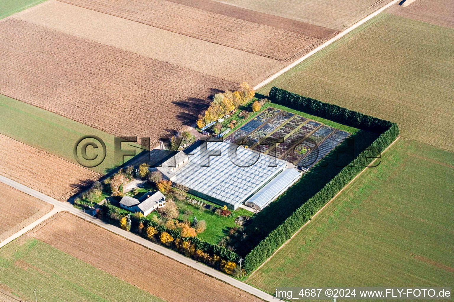 Sudètes à Steinweiler dans le département Rhénanie-Palatinat, Allemagne du point de vue du drone