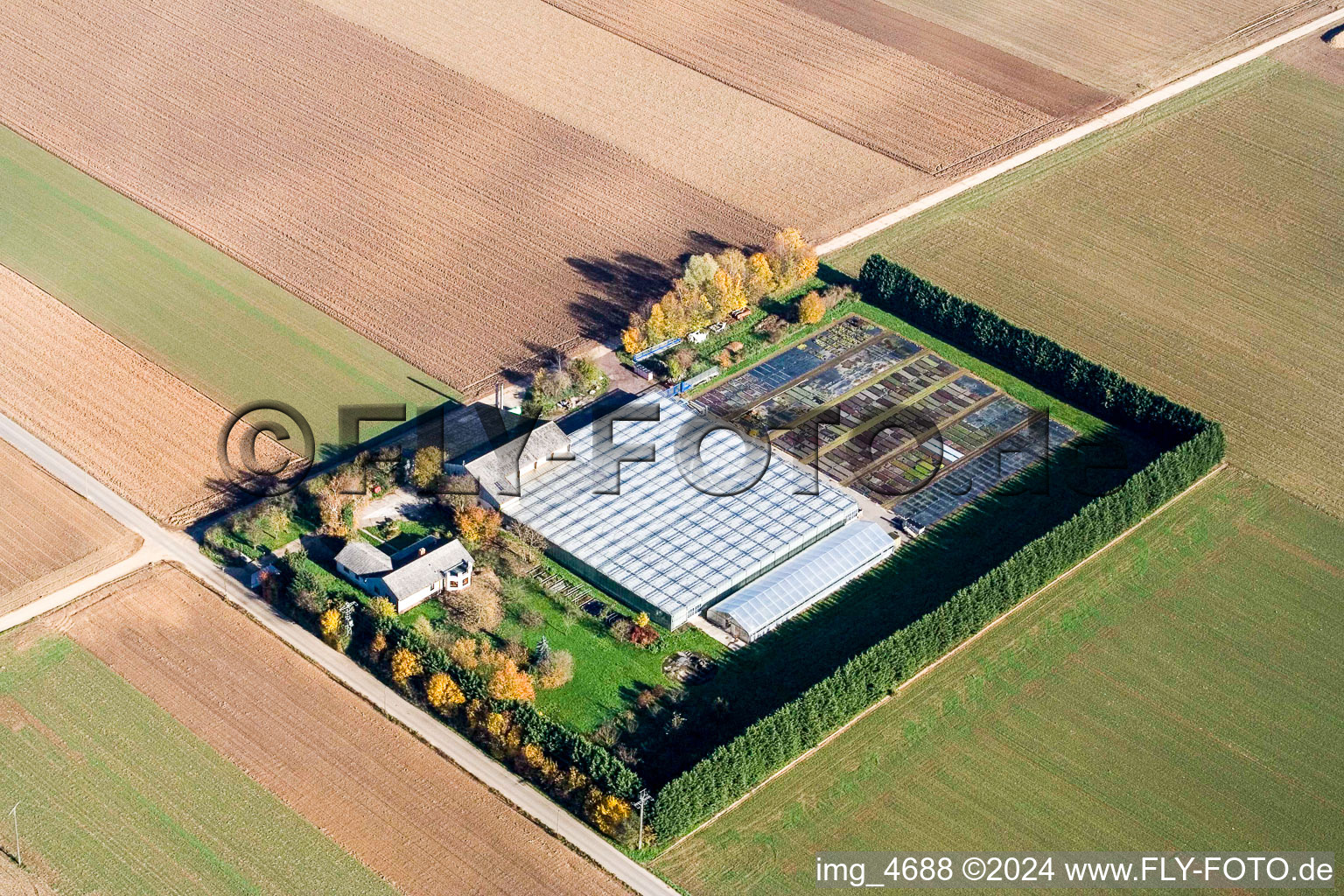 Sudètes à Steinweiler dans le département Rhénanie-Palatinat, Allemagne d'un drone