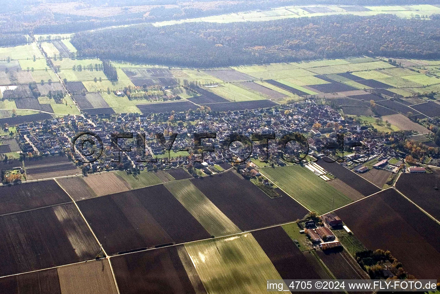 Champs agricoles et surfaces utilisables à Minfeld dans le département Rhénanie-Palatinat, Allemagne d'en haut