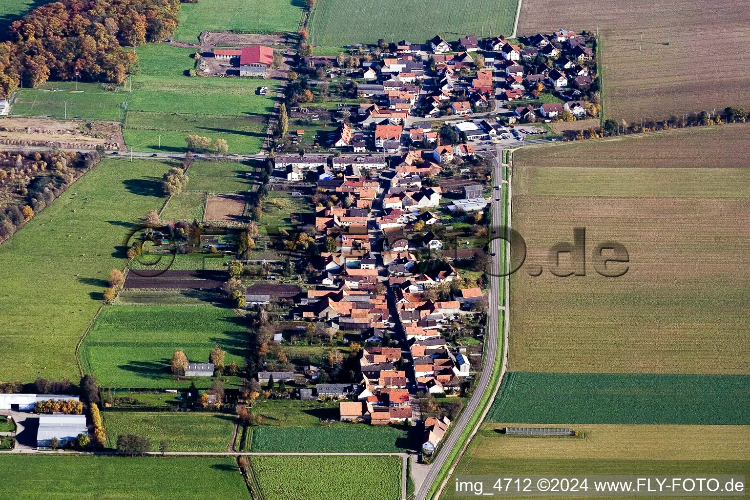 Photographie aérienne de Vue sur le village à le quartier Minderslachen in Kandel dans le département Rhénanie-Palatinat, Allemagne