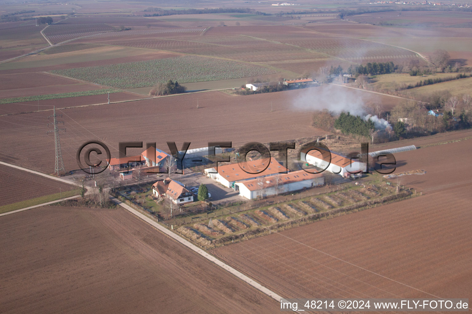 Minfeld dans le département Rhénanie-Palatinat, Allemagne vue du ciel