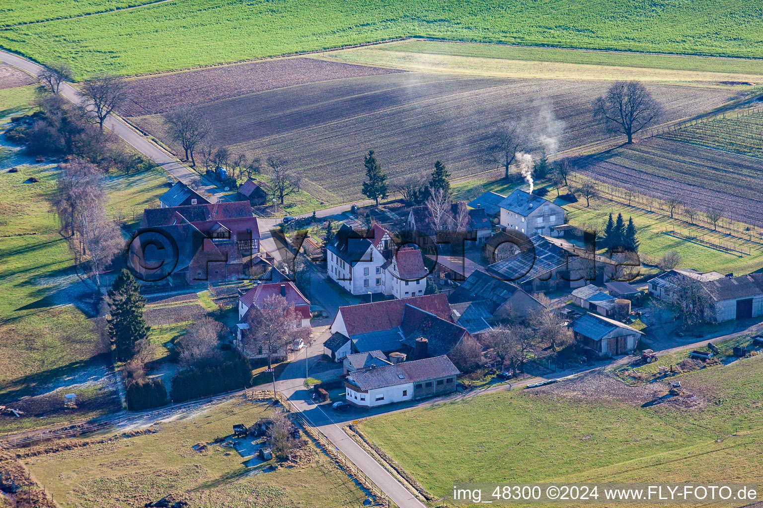 Deutschhof dans le département Rhénanie-Palatinat, Allemagne depuis l'avion