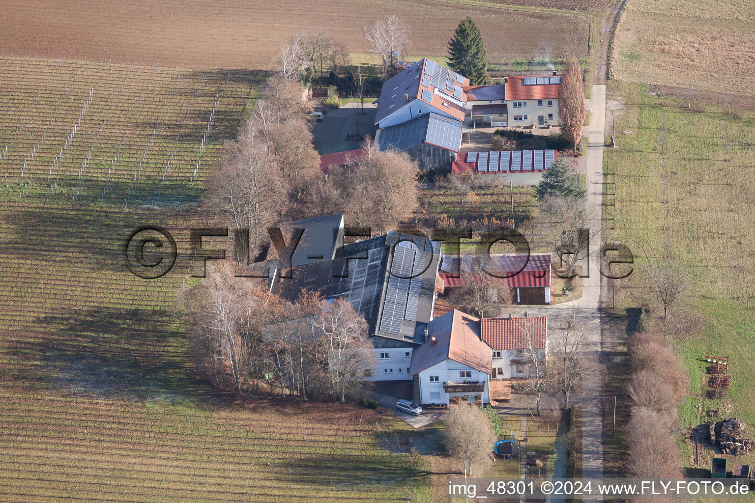 Vue oblique de Eichenhof à le quartier Deutschhof in Kapellen-Drusweiler dans le département Rhénanie-Palatinat, Allemagne