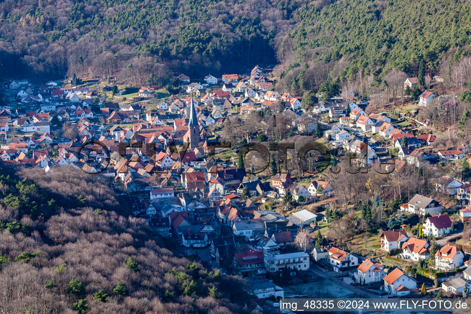 Photographie aérienne de Paysage forestier et montagneux de la forêt du sud du Palatinat à Dörrenbach dans le département Rhénanie-Palatinat, Allemagne