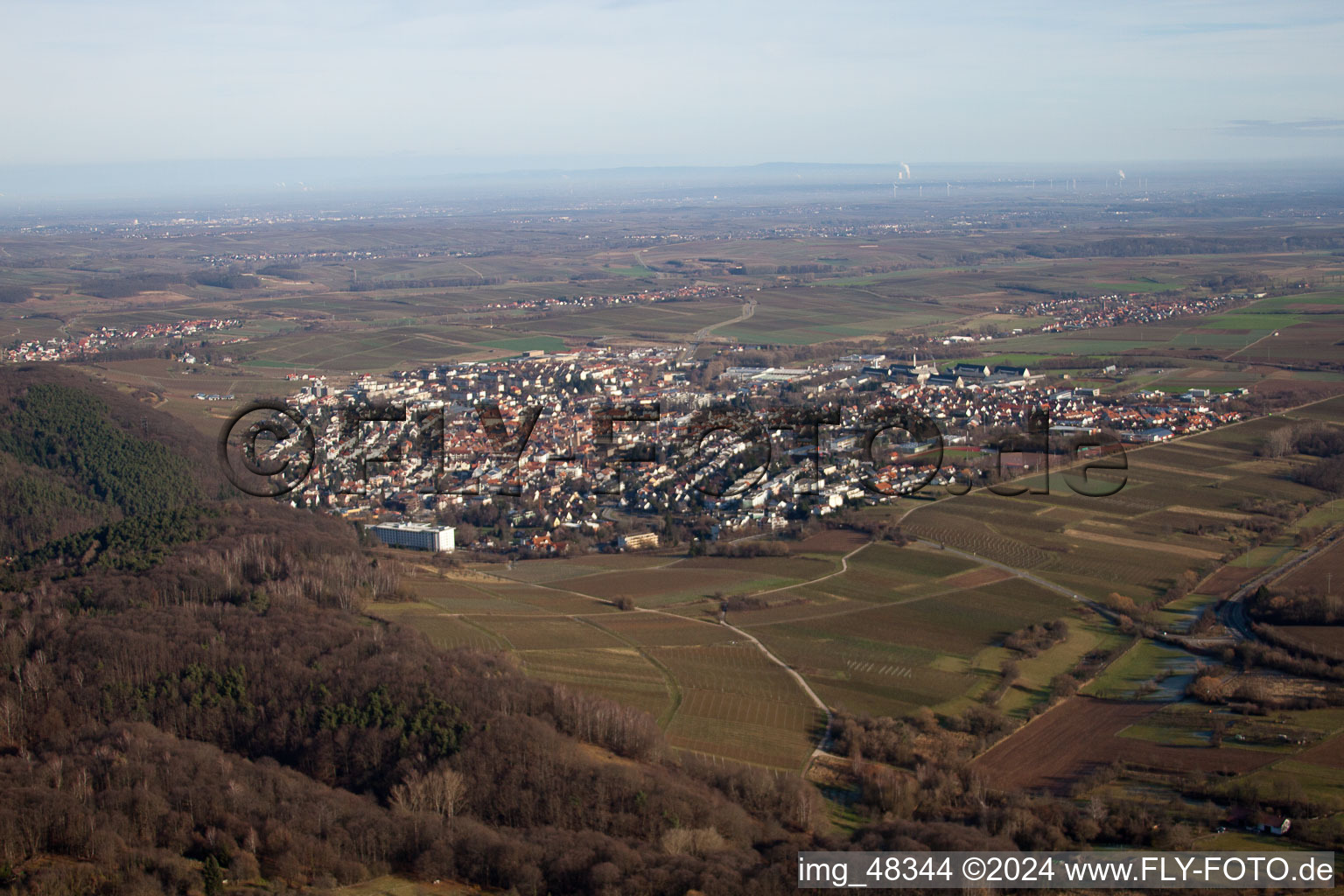 Vue aérienne de Bergzabern à Bad Bergzabern dans le département Rhénanie-Palatinat, Allemagne