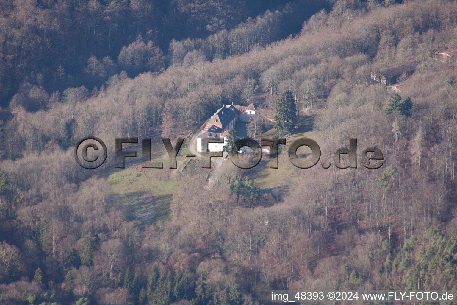 Vue aérienne de Château Langenberg à Weiler dans le département Bas Rhin, France