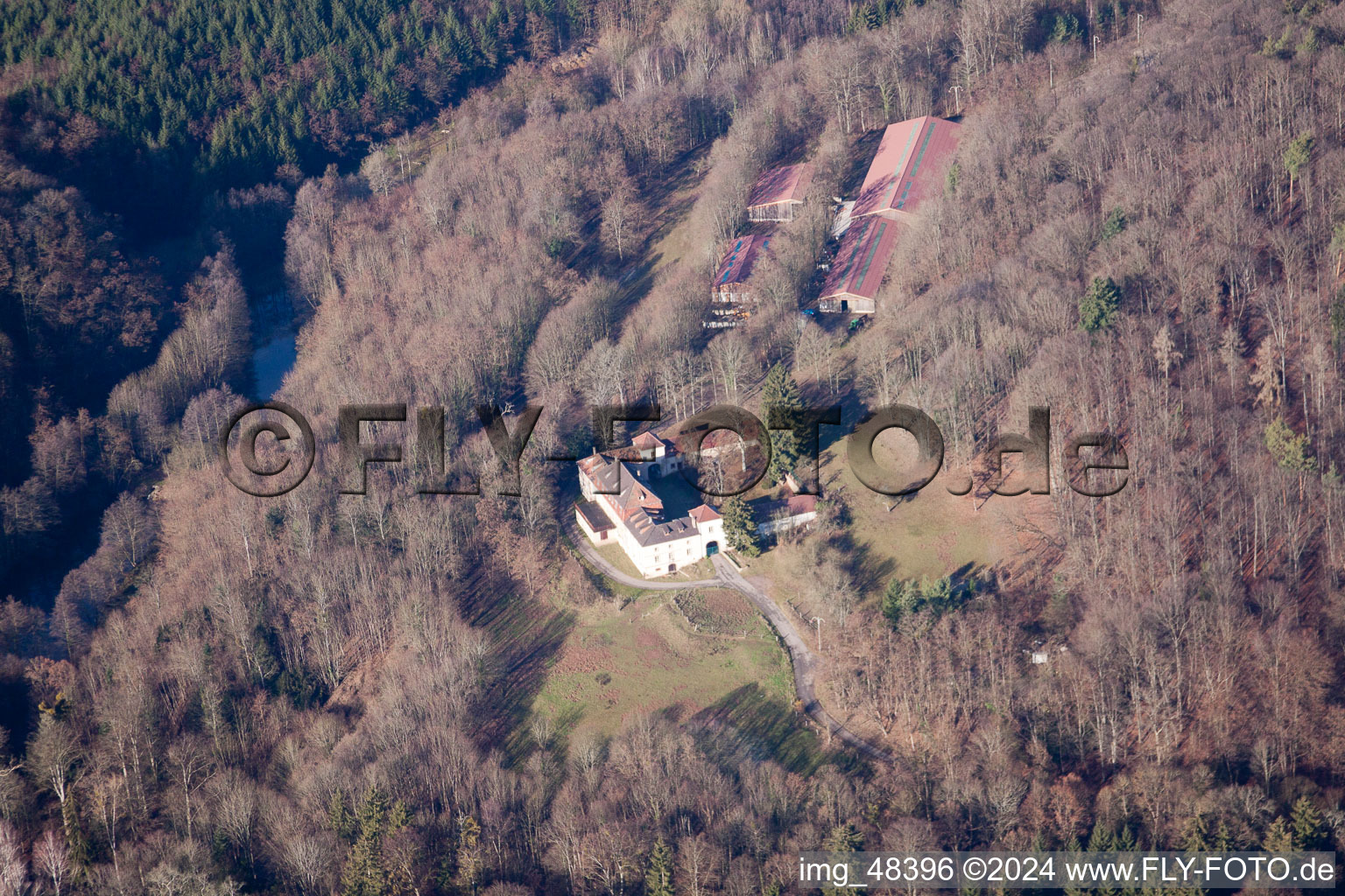 Photographie aérienne de Château Langenberg à Weiler dans le département Bas Rhin, France