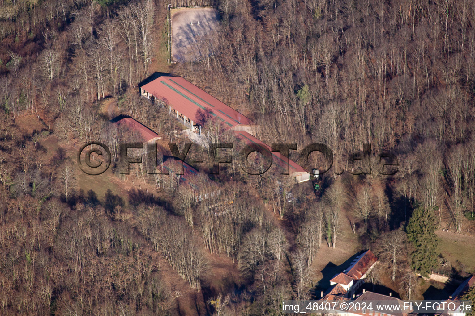 Vue oblique de Château Langenberg à Weiler dans le département Bas Rhin, France