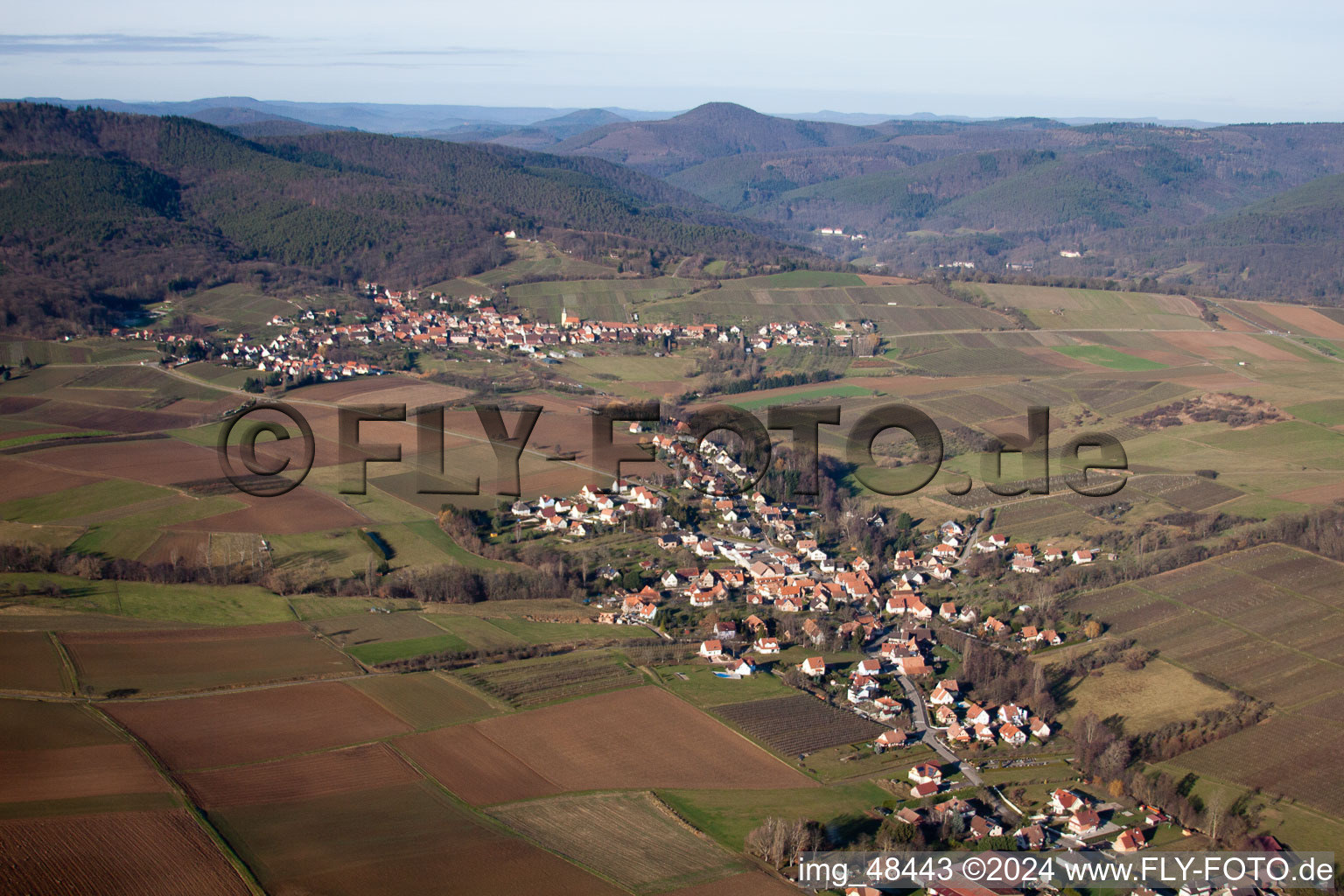 Steinseltz dans le département Bas Rhin, France vu d'un drone