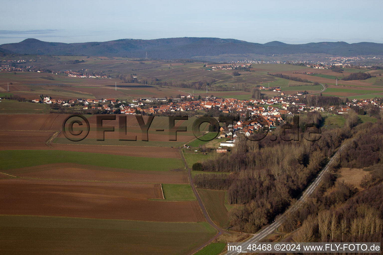 Vue d'oiseau de Riedseltz dans le département Bas Rhin, France