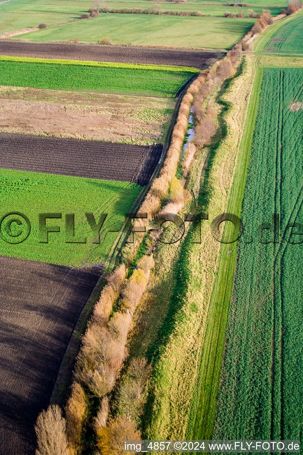 Vue aérienne de Au Nord de à Altlußheim dans le département Bade-Wurtemberg, Allemagne