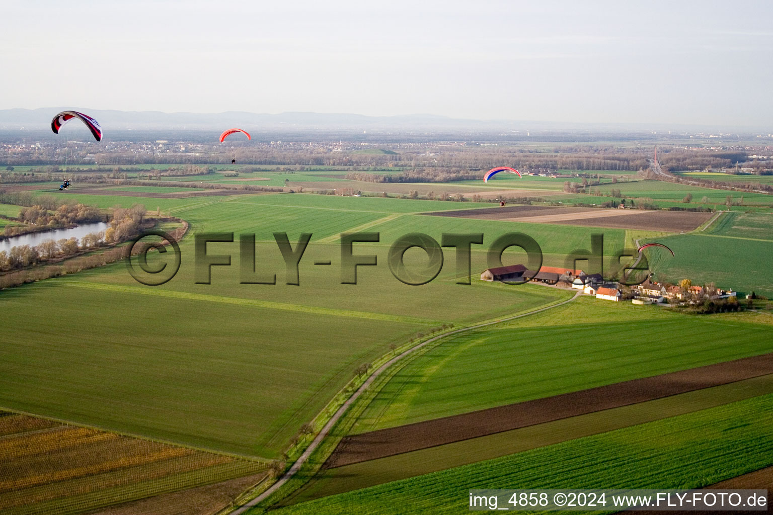 Vue aérienne de Au nord de à Altlußheim dans le département Bade-Wurtemberg, Allemagne