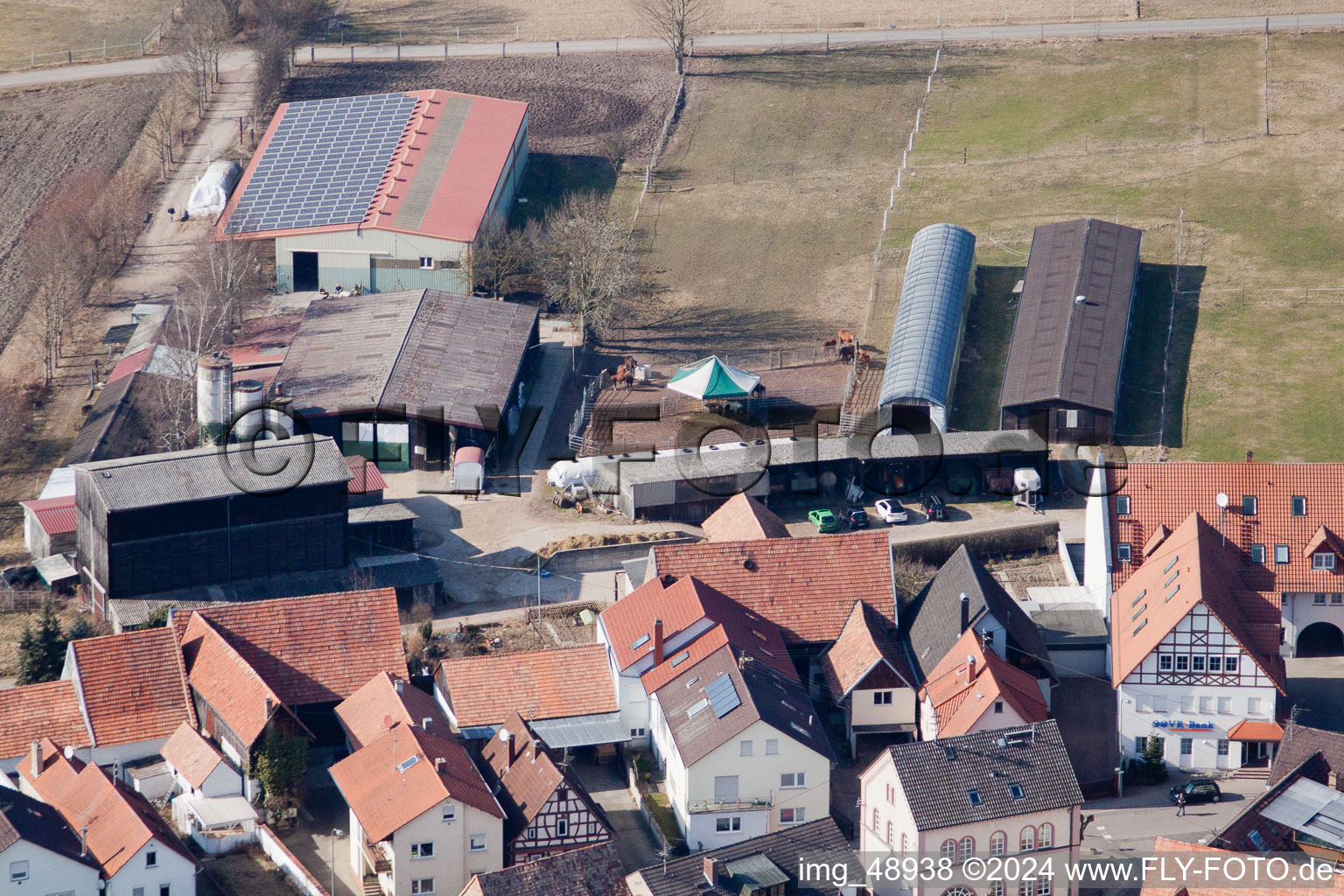 Image drone de Neupotz dans le département Rhénanie-Palatinat, Allemagne