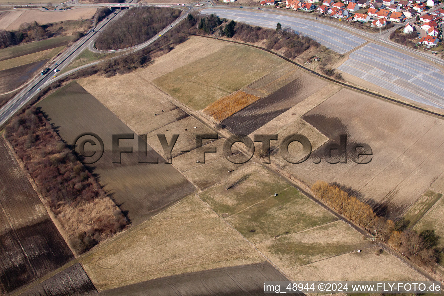 Vue aérienne de Neupotz dans le département Rhénanie-Palatinat, Allemagne