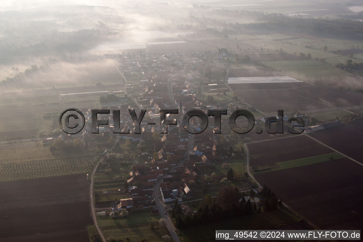Vue aérienne de Dans la brume du matin à Erlenbach bei Kandel dans le département Rhénanie-Palatinat, Allemagne