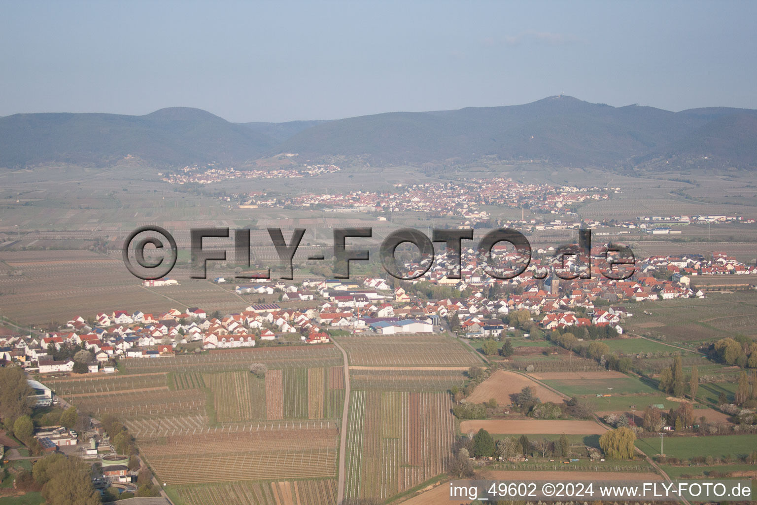 Vue aérienne de Kirrweiler dans le département Rhénanie-Palatinat, Allemagne