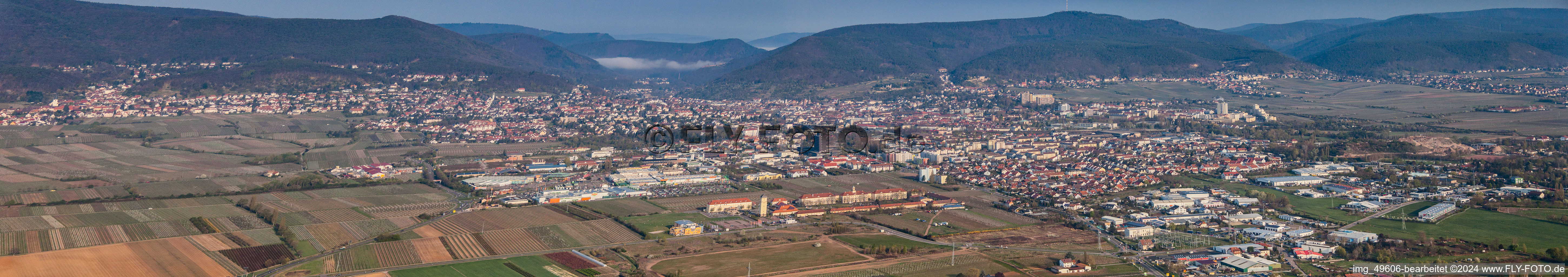 Vue oblique de Panorama à Neustadt an der Weinstraße dans le département Rhénanie-Palatinat, Allemagne