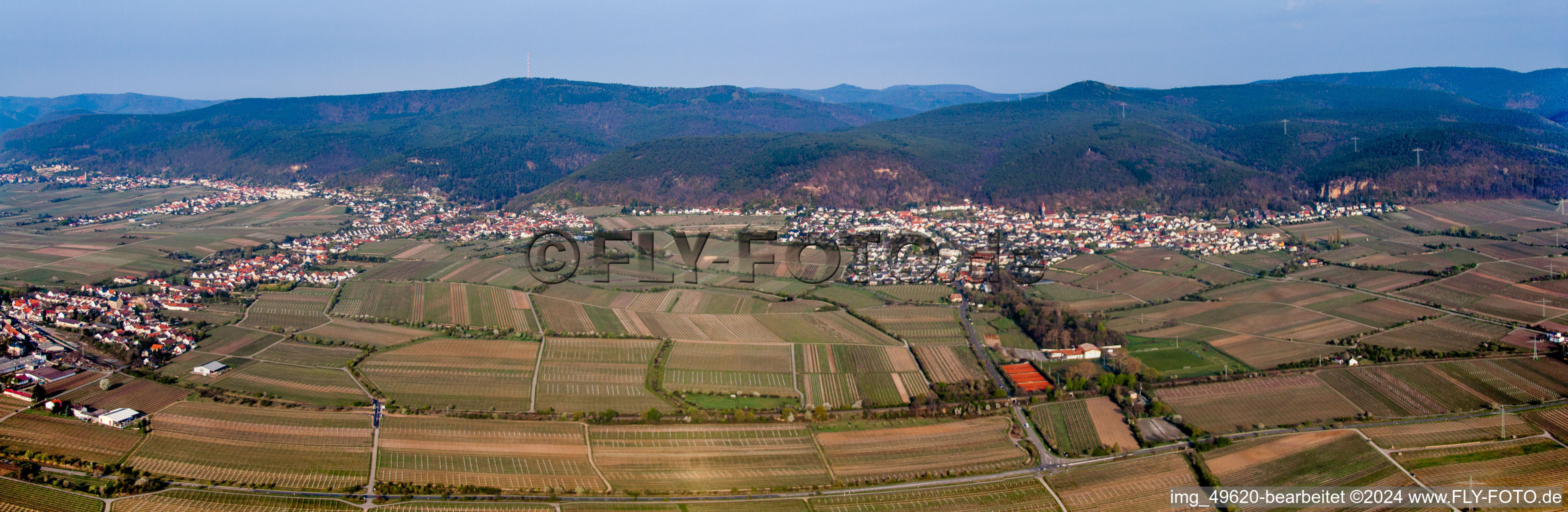 Vue aérienne de Perspective panoramique des vignobles du Haardtrand dans le quartier de Gimmeldingen à le quartier Königsbach in Neustadt an der Weinstraße dans le département Rhénanie-Palatinat, Allemagne