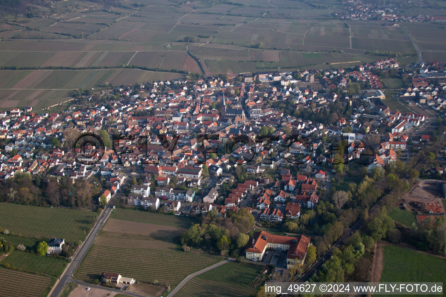 Deidesheim dans le département Rhénanie-Palatinat, Allemagne d'un drone