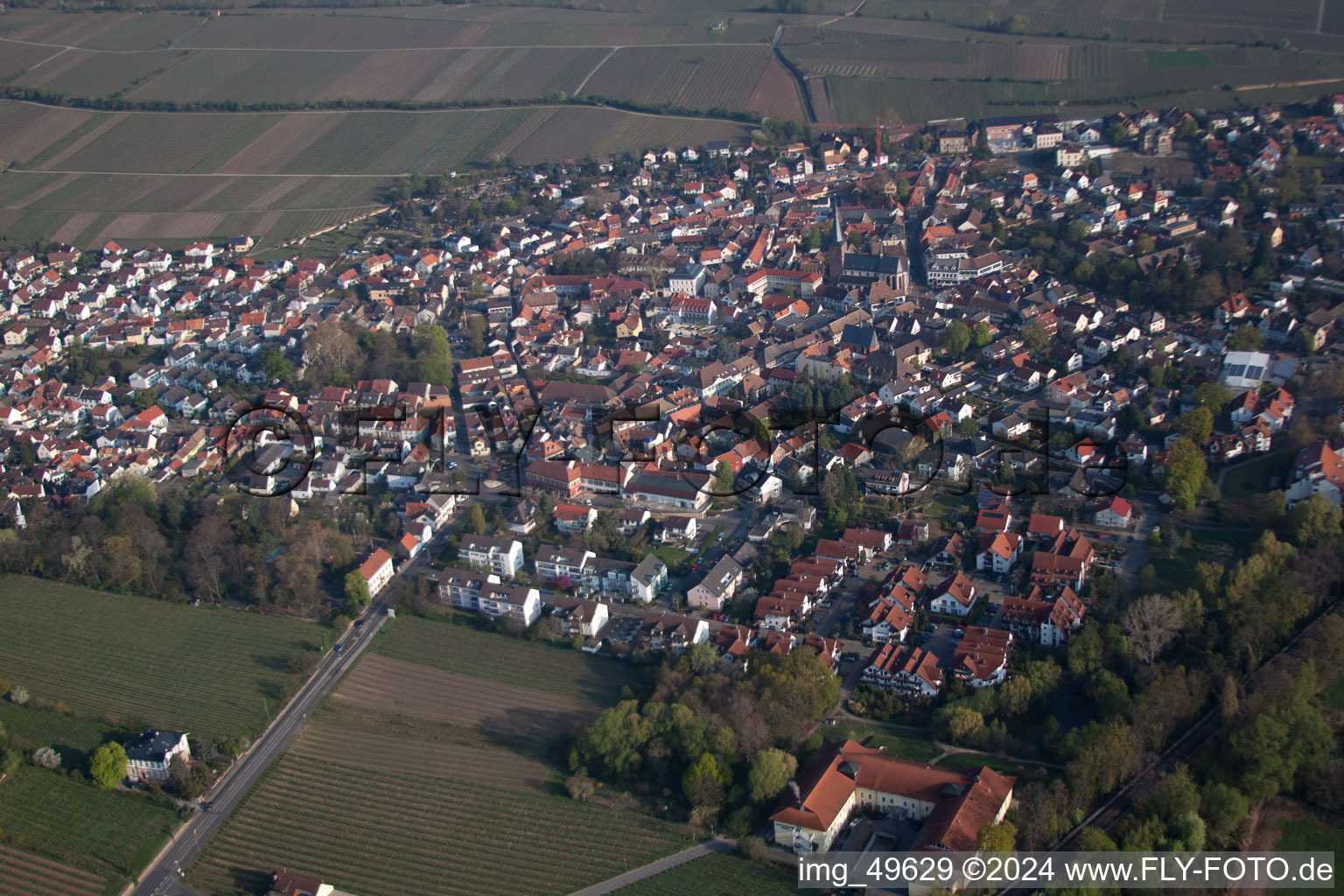 Vue aérienne de Deidesheim dans le département Rhénanie-Palatinat, Allemagne