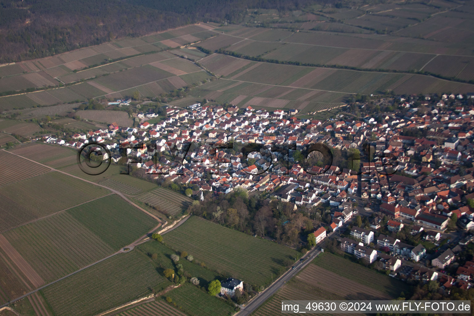 Photographie aérienne de Deidesheim dans le département Rhénanie-Palatinat, Allemagne