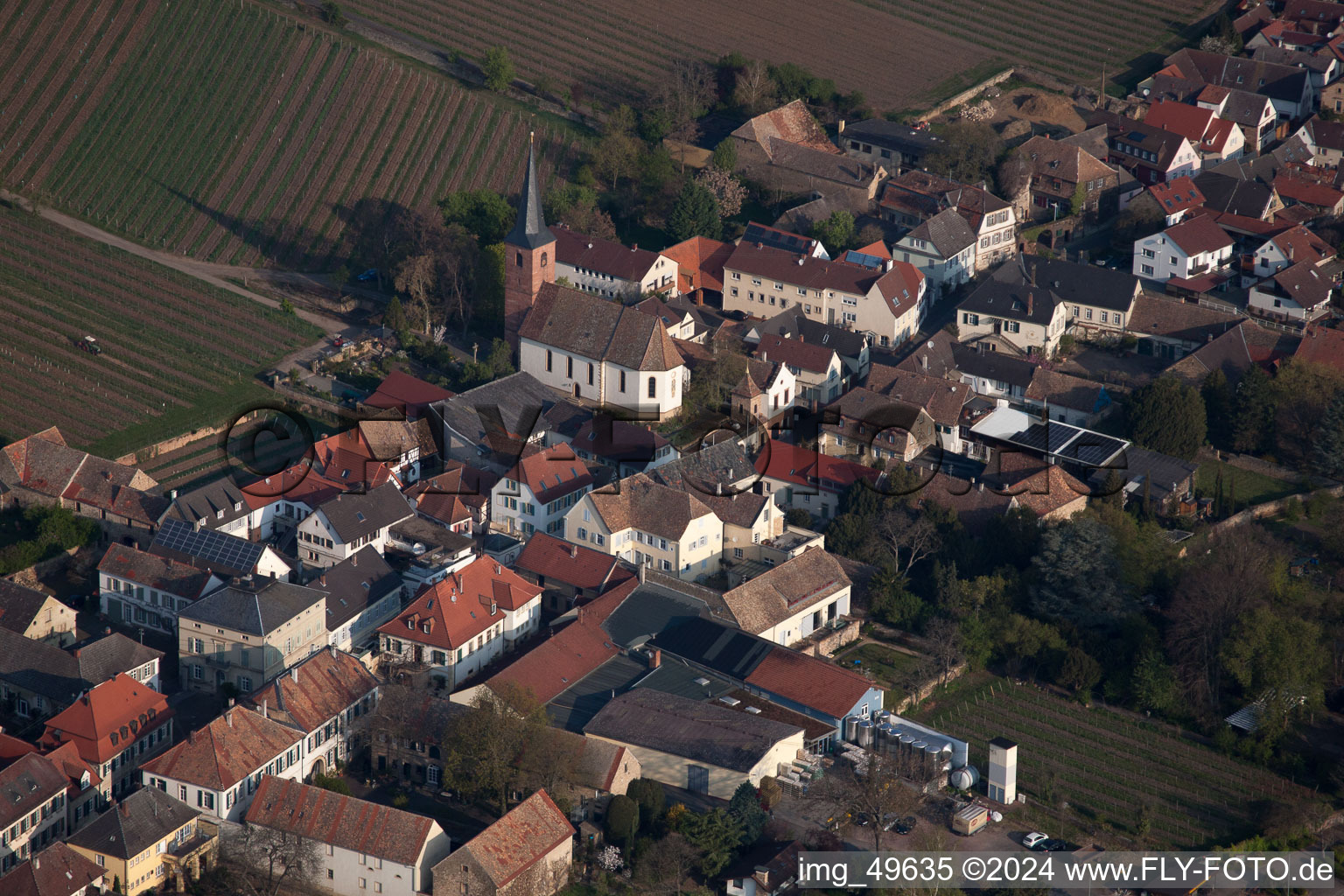 Vue oblique de Vignobles à le quartier Forst in Forst an der Weinstraße dans le département Rhénanie-Palatinat, Allemagne