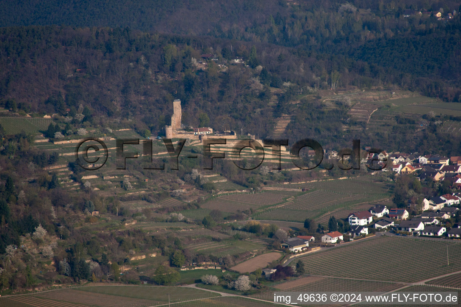 Wachenheim an der Weinstraße dans le département Rhénanie-Palatinat, Allemagne depuis l'avion