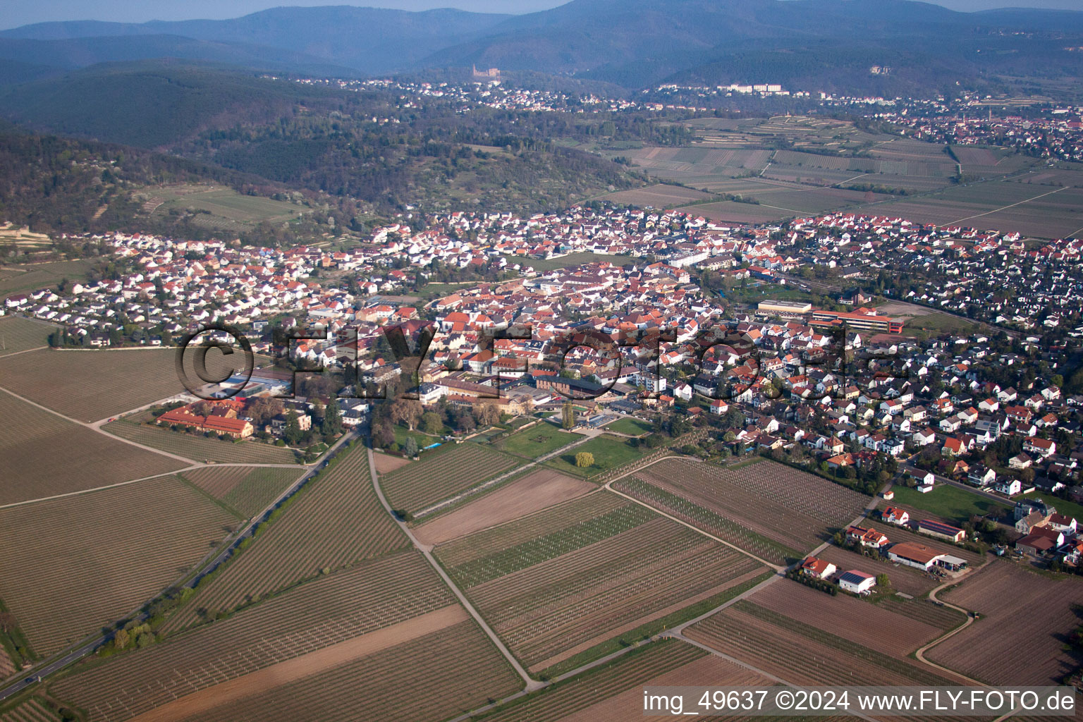 Vue d'oiseau de Wachenheim an der Weinstraße dans le département Rhénanie-Palatinat, Allemagne