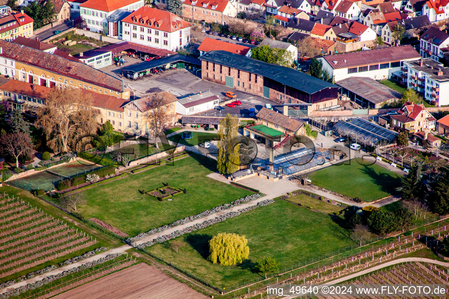 Bâtiments et parcs du domaine viticole Dr. Loup de Bürklin à le quartier Wachenheim in Wachenheim an der Weinstraße dans le département Rhénanie-Palatinat, Allemagne d'en haut