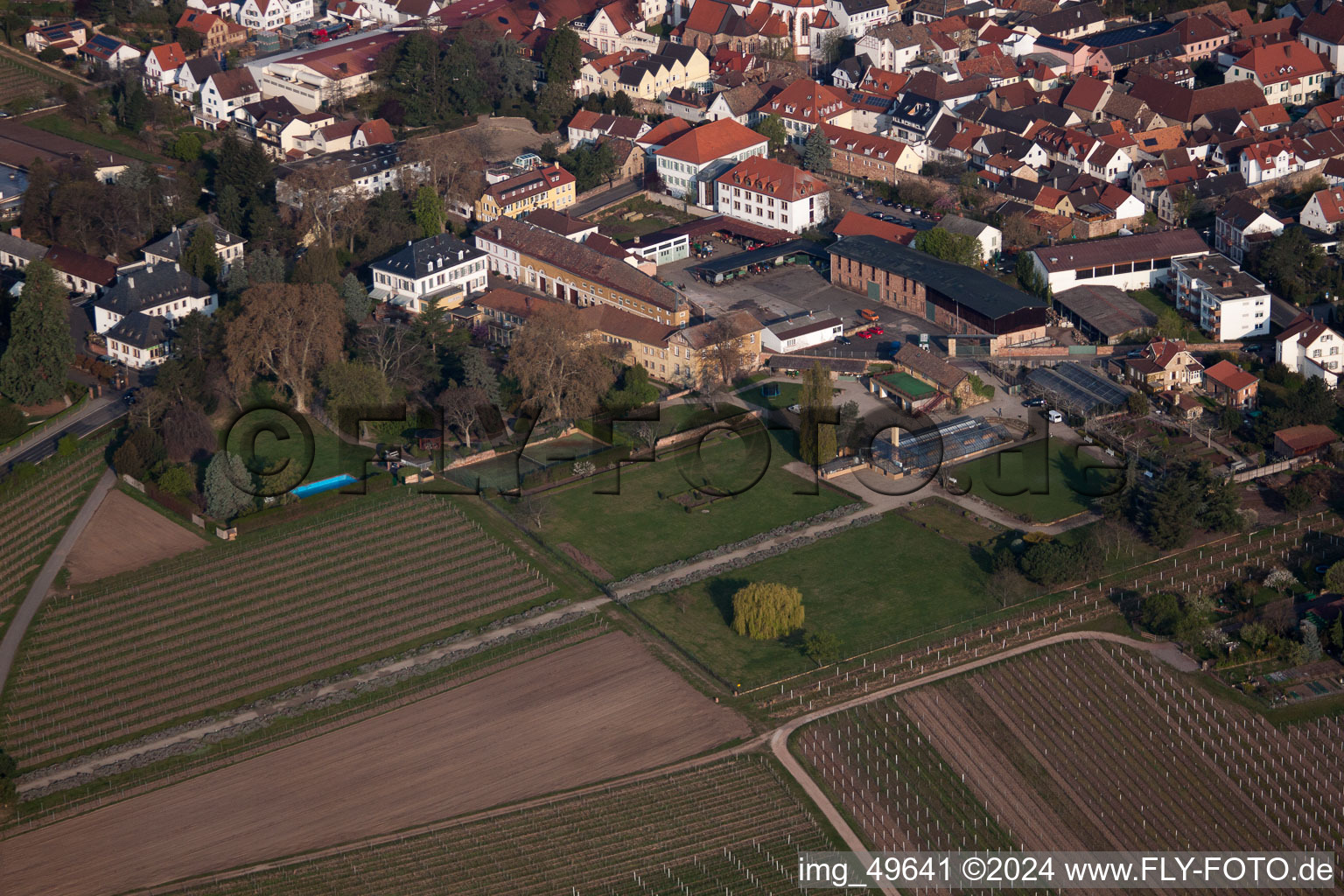 Wachenheim an der Weinstraße dans le département Rhénanie-Palatinat, Allemagne vue du ciel