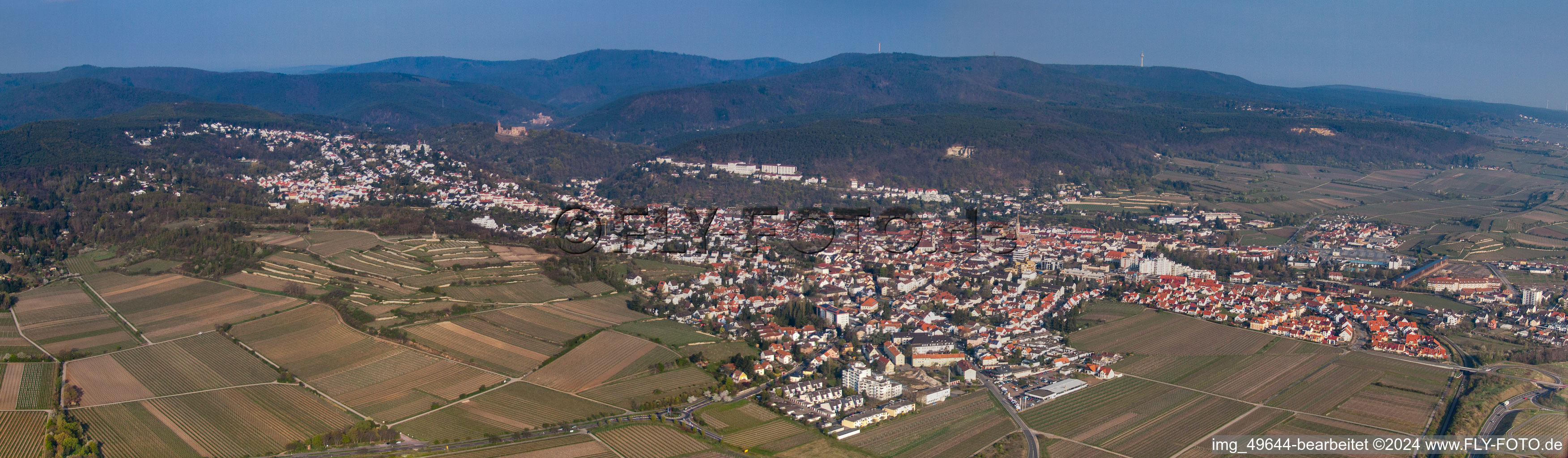 Vue aérienne de Panorama à le quartier Seebach in Bad Dürkheim dans le département Rhénanie-Palatinat, Allemagne