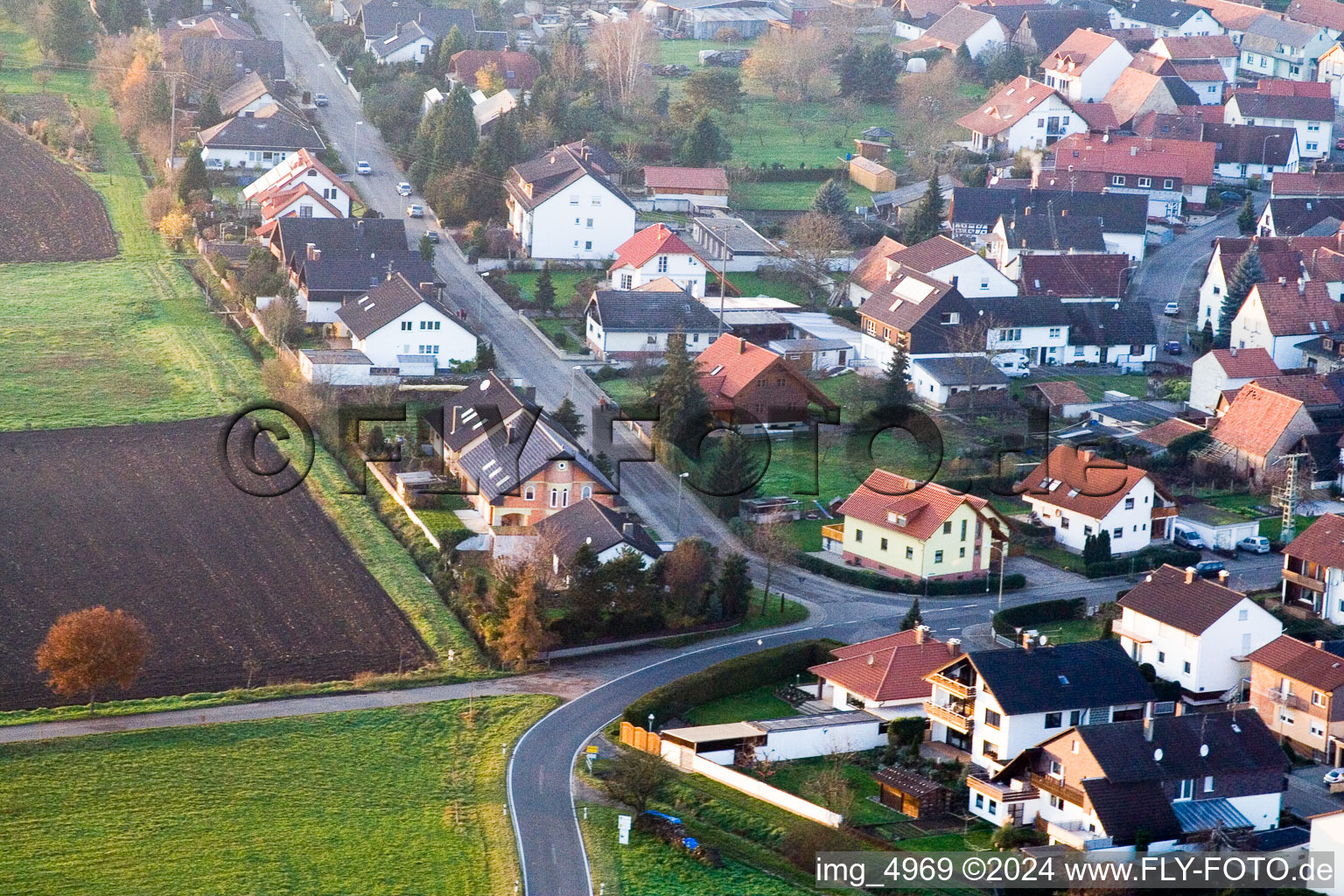 Vue oblique de Dans le jardin au calme à Minfeld dans le département Rhénanie-Palatinat, Allemagne