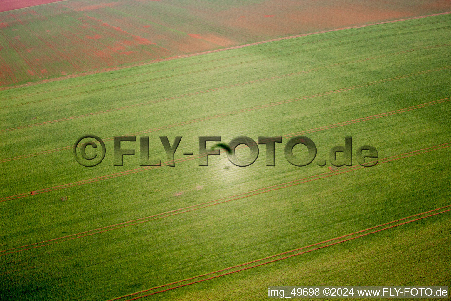 Vue oblique de Flörsheim-Dalsheim dans le département Rhénanie-Palatinat, Allemagne