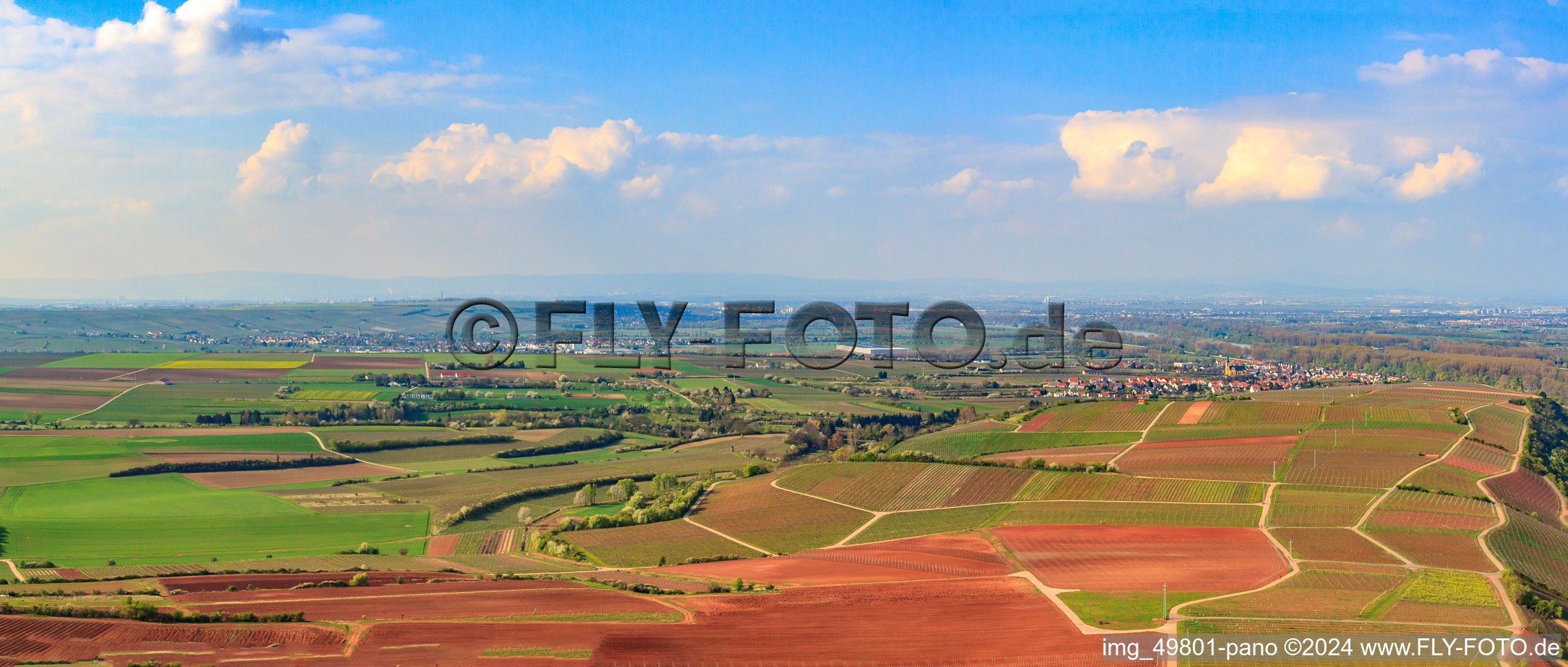 Vue aérienne de Vignobles Alte Mistkaut, Hahlreuz et Rheinhahl au-dessus du Rhin à Nackenheim dans le département Rhénanie-Palatinat, Allemagne