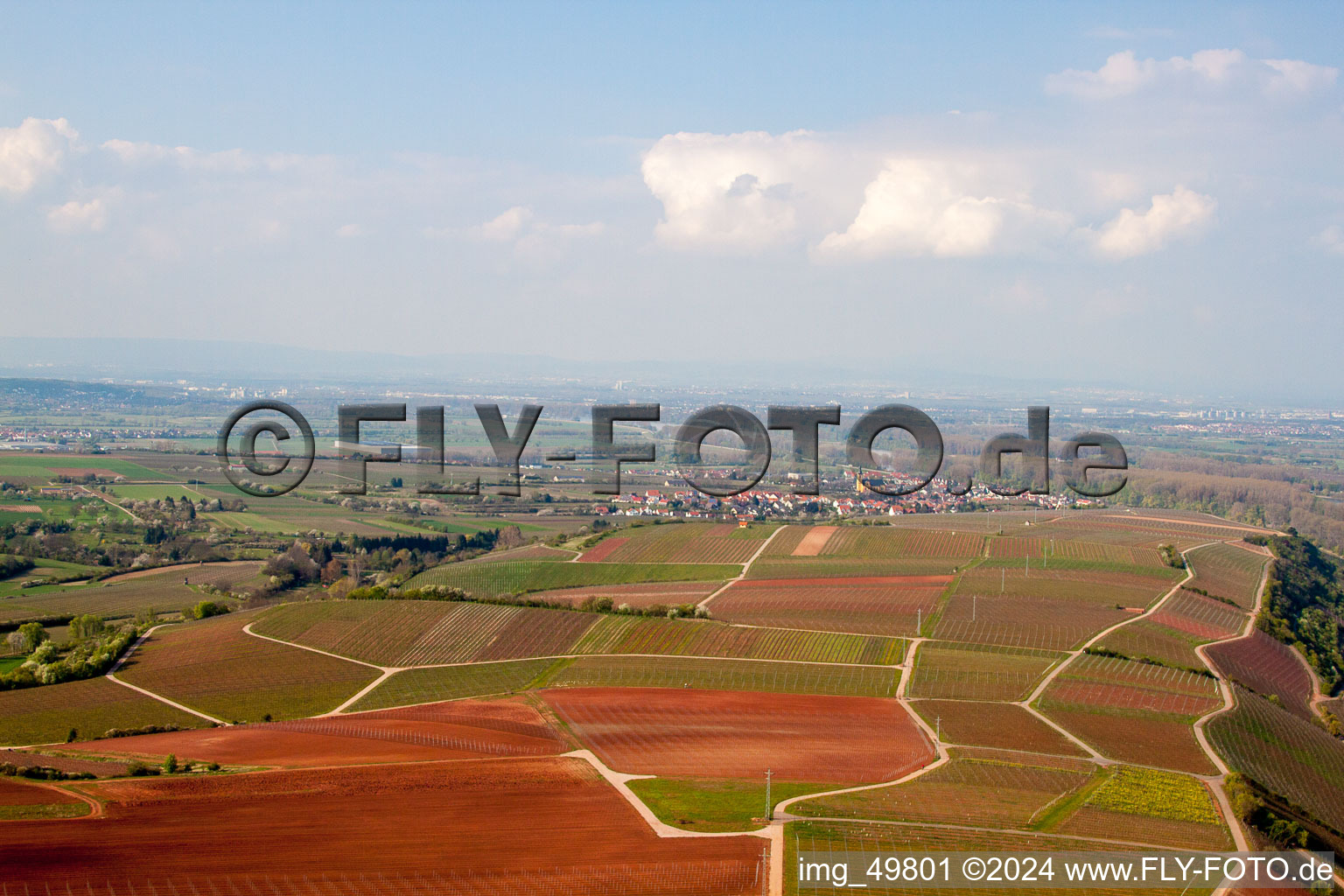 Vue aérienne de Rhin à Nierstein à Nierstein dans le département Rhénanie-Palatinat, Allemagne