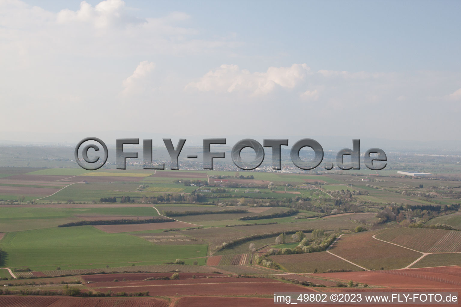 Photographie aérienne de Rhin à Nierstein à Nierstein dans le département Rhénanie-Palatinat, Allemagne