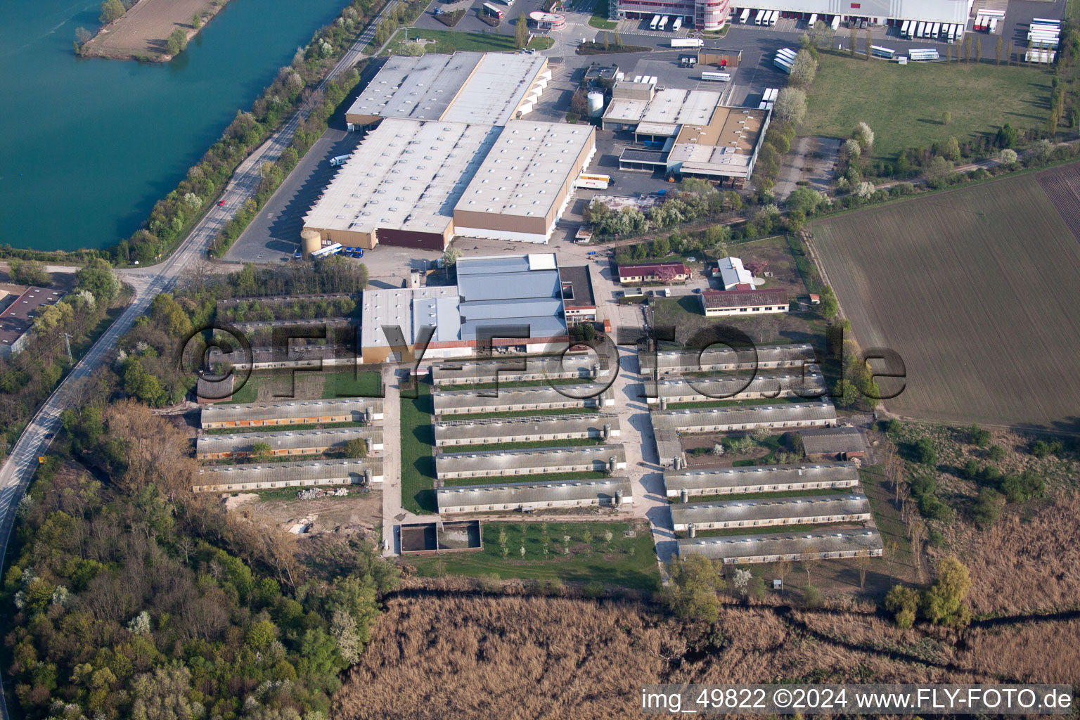 Image drone de Gimbsheim dans le département Rhénanie-Palatinat, Allemagne