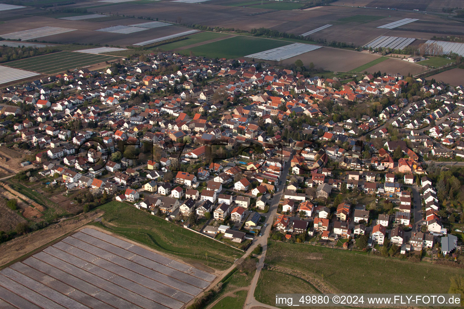 Quartier Schauernheim in Dannstadt-Schauernheim dans le département Rhénanie-Palatinat, Allemagne depuis l'avion