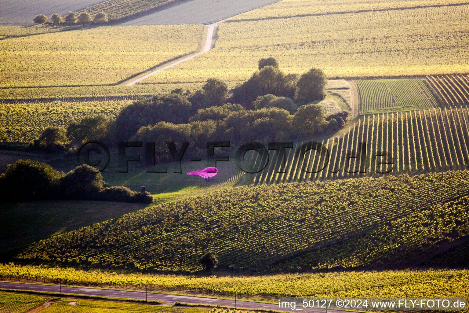 Vue aérienne de Atterrissage en ballon à Niederhorbach dans le département Rhénanie-Palatinat, Allemagne