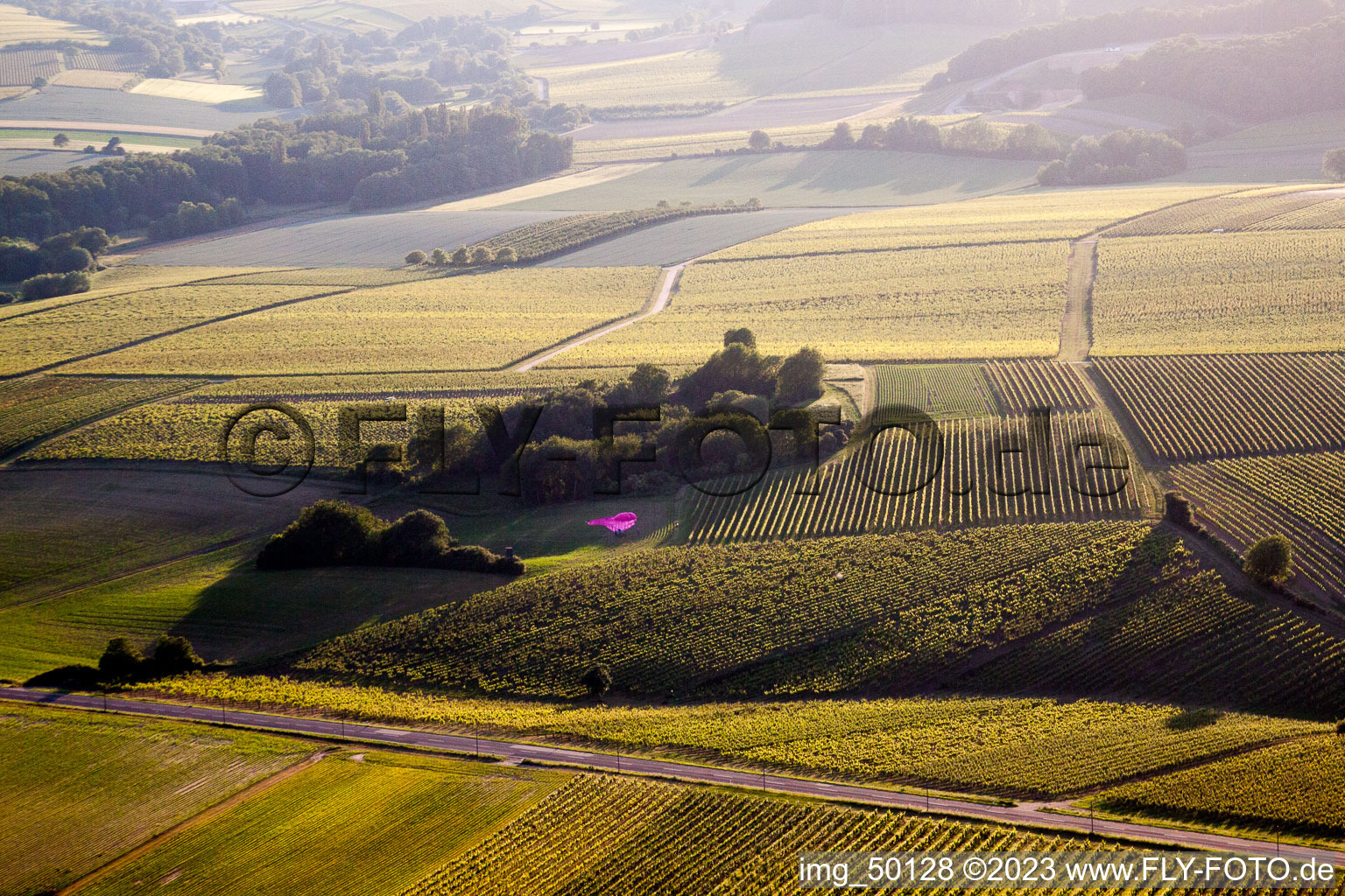 Vue aérienne de Atterrissage en ballon à Niederhorbach dans le département Rhénanie-Palatinat, Allemagne
