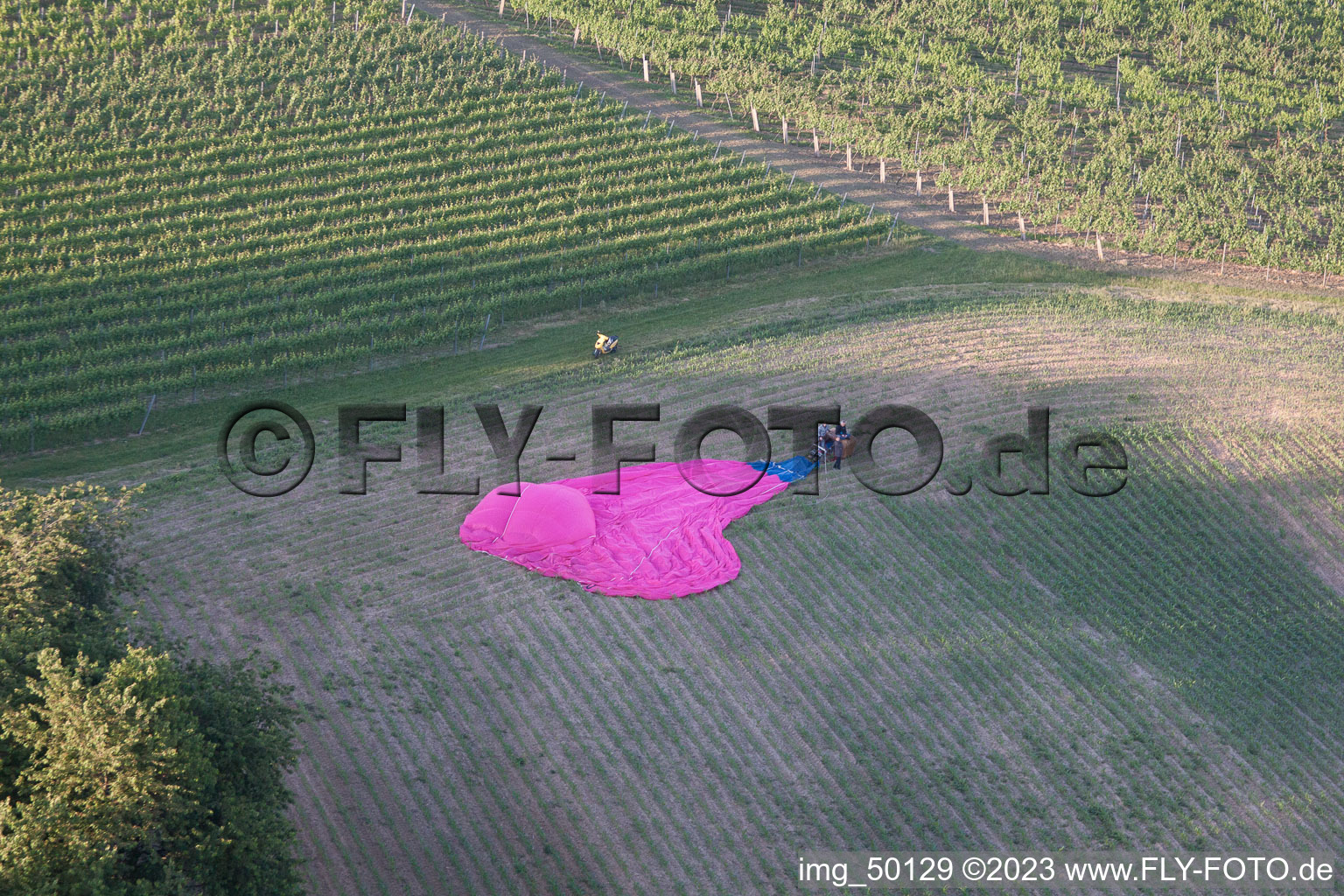 Photographie aérienne de Atterrissage en ballon à Niederhorbach dans le département Rhénanie-Palatinat, Allemagne