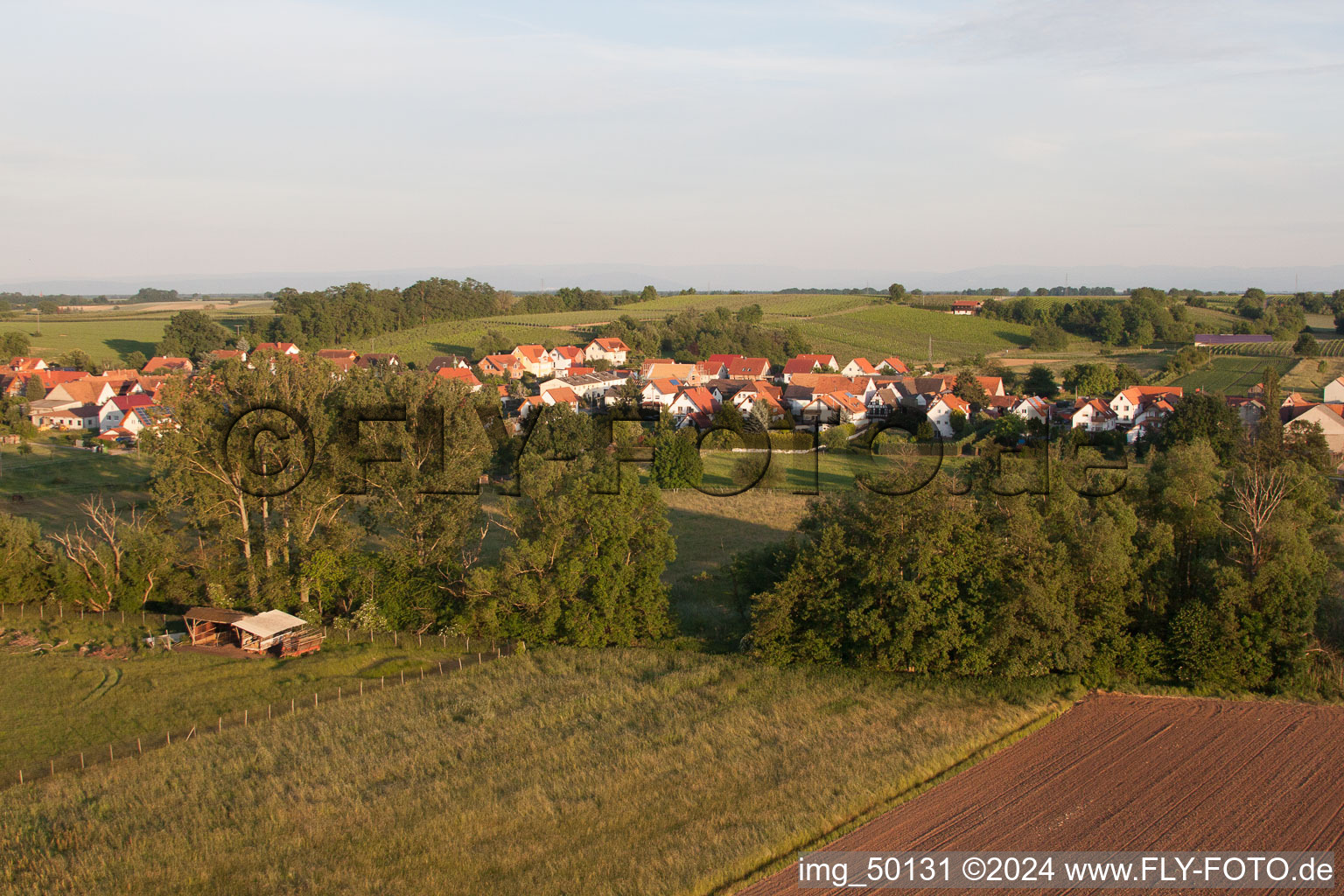 Hergersweiler dans le département Rhénanie-Palatinat, Allemagne du point de vue du drone