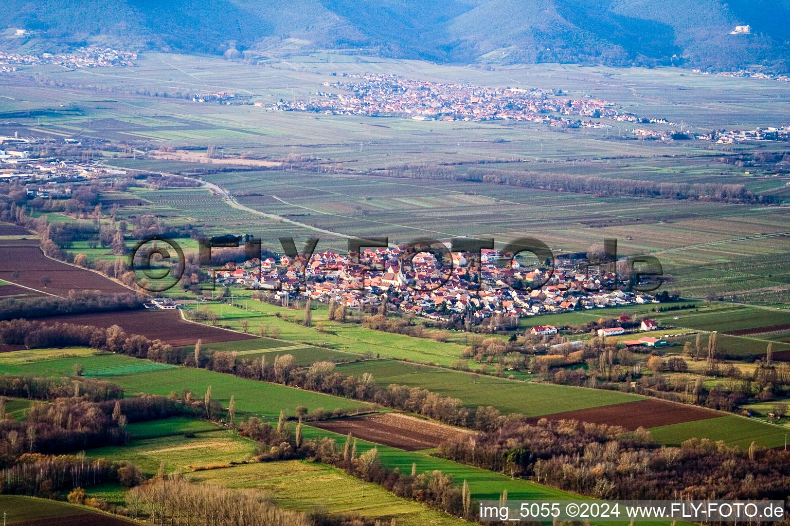 Vue d'oiseau de Champs agricoles et surfaces utilisables à Venningen dans le département Rhénanie-Palatinat, Allemagne