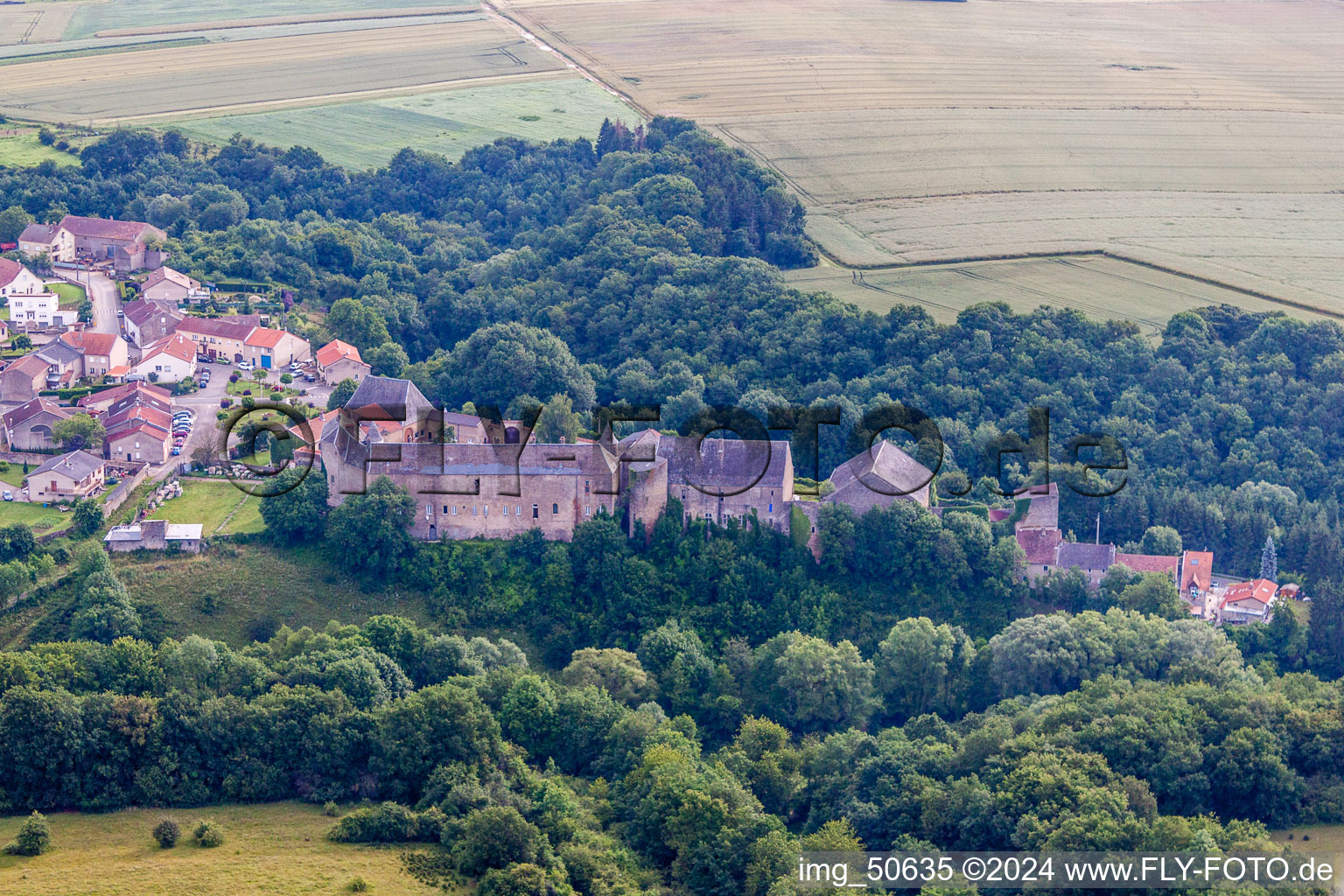 Vue aérienne de Ensemble châteaux de Roussy-le-bourg à Roussy-le-Village dans le département Moselle, France