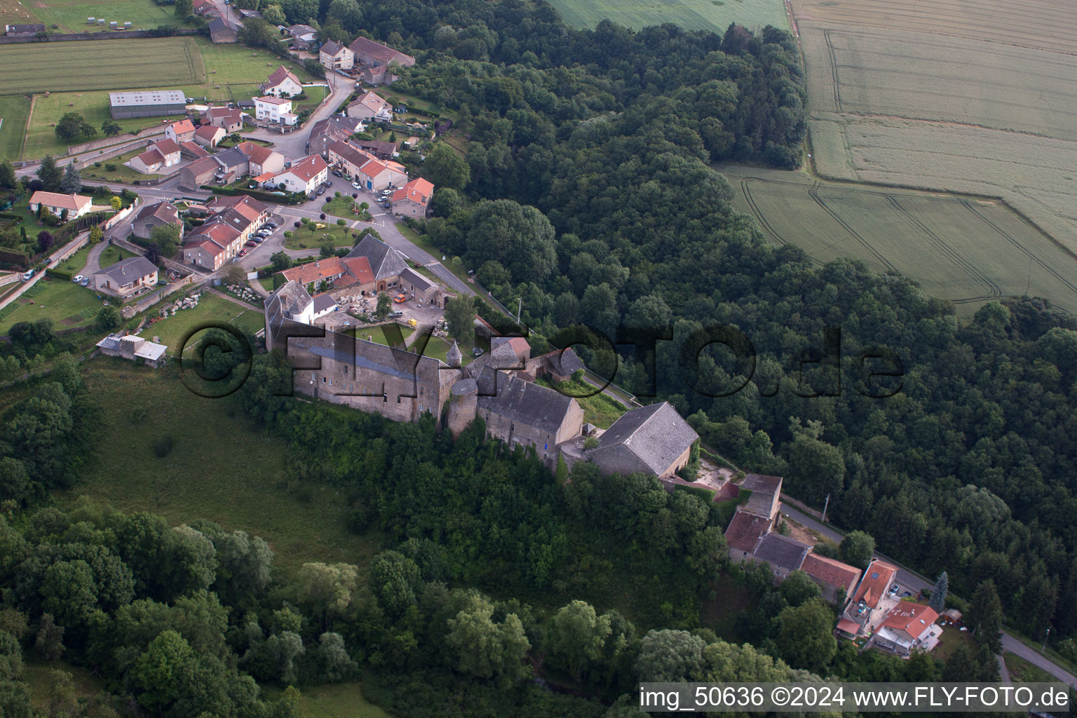 Photographie aérienne de Roussy-le-Village dans le département Moselle, France