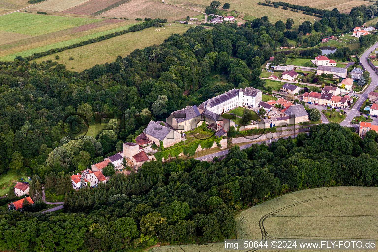 Vue aérienne de Ensemble châteaux de Roussy-le-bourg à Roussy-le-Village dans le département Moselle, France