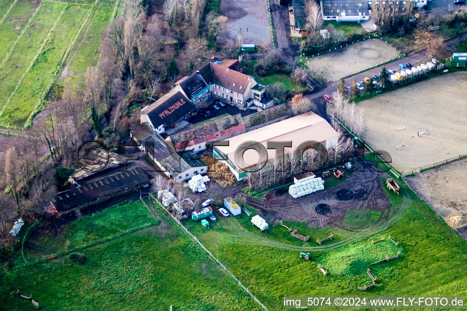 Vue aérienne de Centre de protection de la nature du refuge pour animaux de la 1ère association de protection des animaux Haßloch et des environs eV à Haßloch dans le département Rhénanie-Palatinat, Allemagne